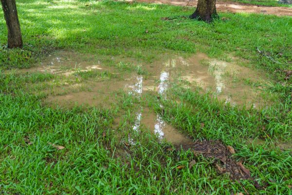 Cost of Storm Water Drainage Service in Olympia