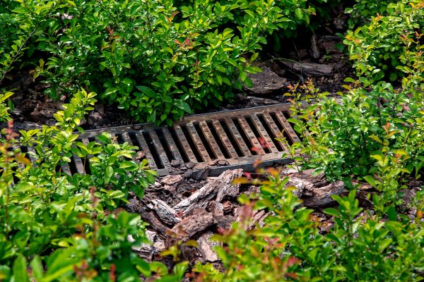 Cost of Underground Drainage Service in Olympia