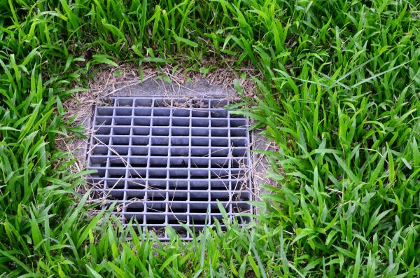 Cost of Yard Water Drainage in Olympia
