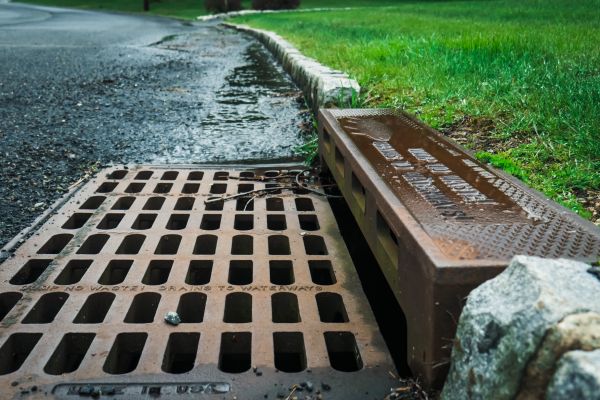Cost of Rainwater Diversion in Olympia