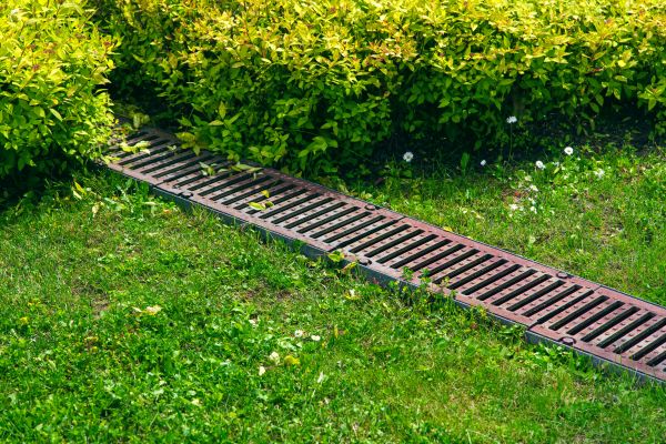 Cost of Yard Drainage Installation in Olympia