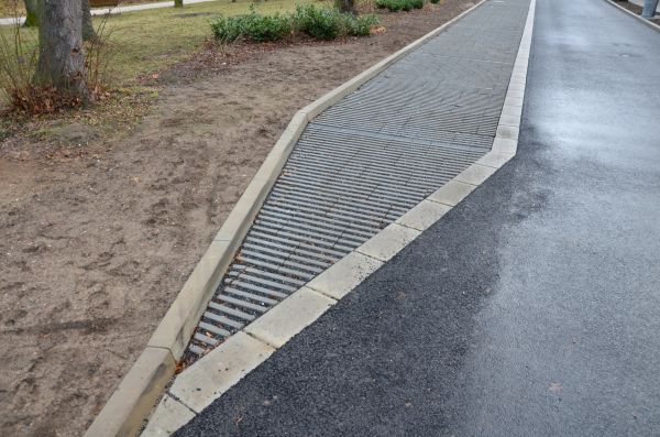 Cost of Muddy Yard Drainage in Olympia