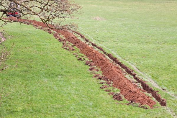 Cost of Swale Installation in Olympia
