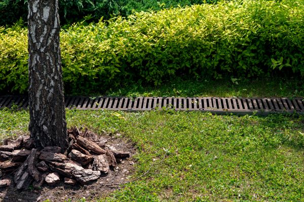 Cost of Garden Drainage Installation in Olympia