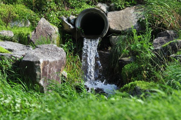 Cost of Water Redirection in Olympia