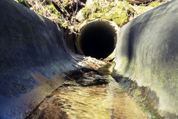 Drainage Swale Installation in Olympia