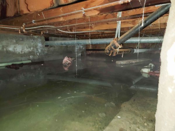 Cost of Crawlspace Drainage in Olympia