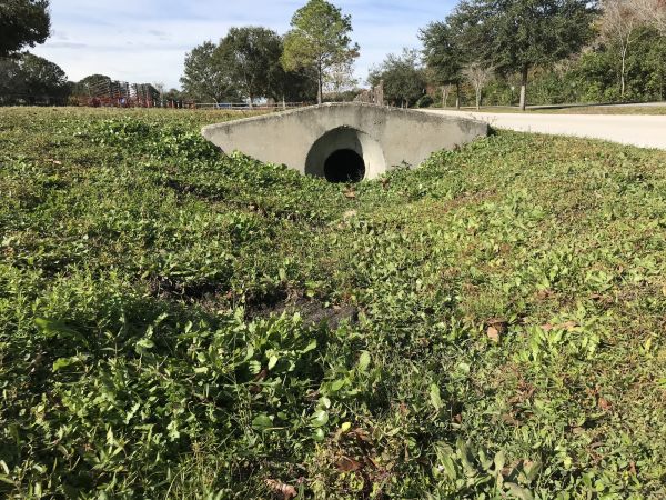 Cost of Swale Drainage Service in Olympia